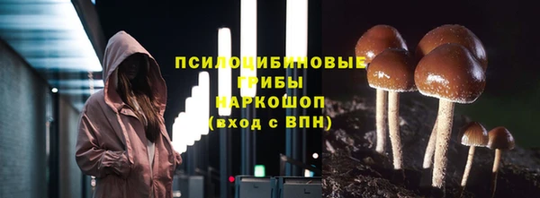 крисы Россошь