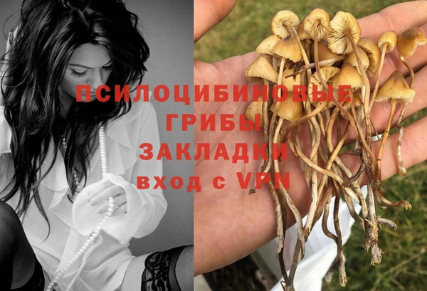 дурь Сафоново