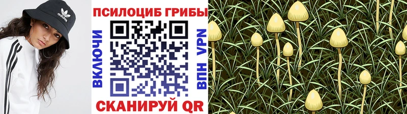 Псилоцибиновые грибы Magic Shrooms  Урень 
